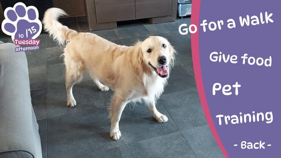 Golden Retriever Simple Life screenshot 1