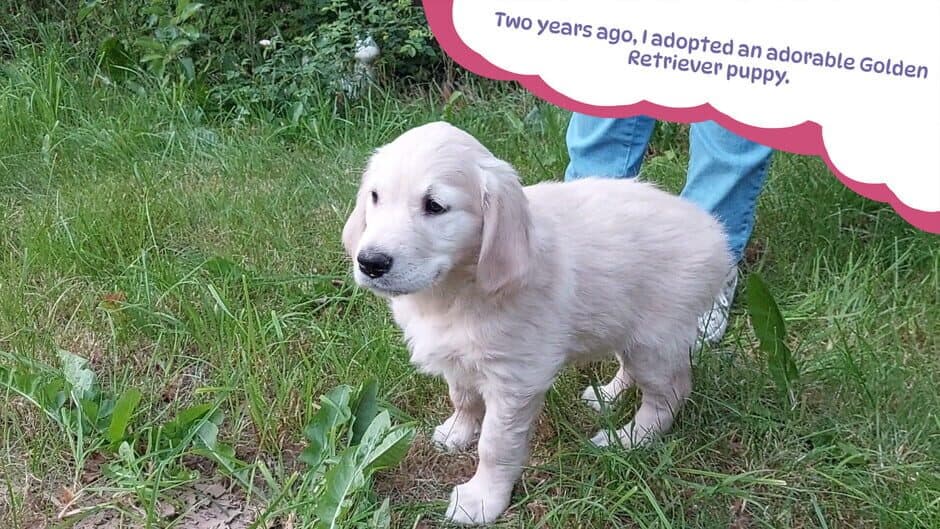 Golden Retriever Simple Life screenshot 2