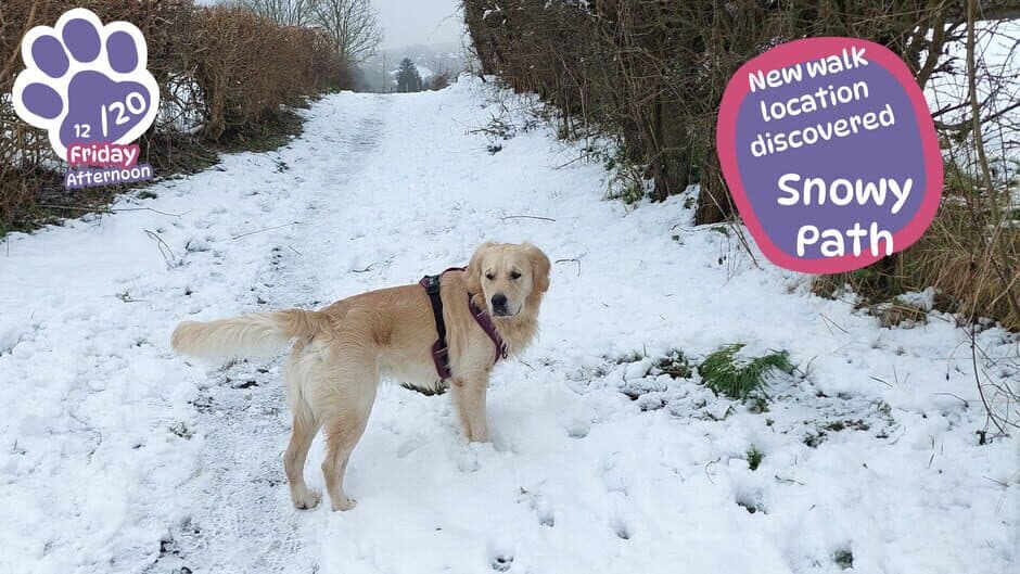 Golden Retriever Simple Life screenshot 3