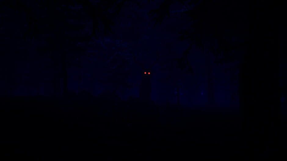 88 Nights in the Forest screenshot 4