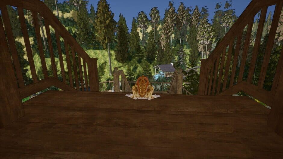 Crazy Toad screenshot 1