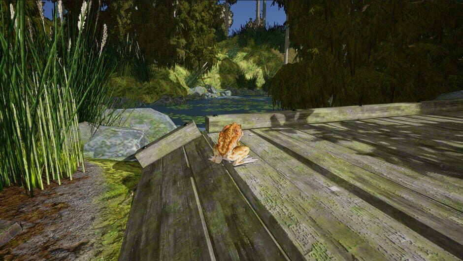 Crazy Toad screenshot 3