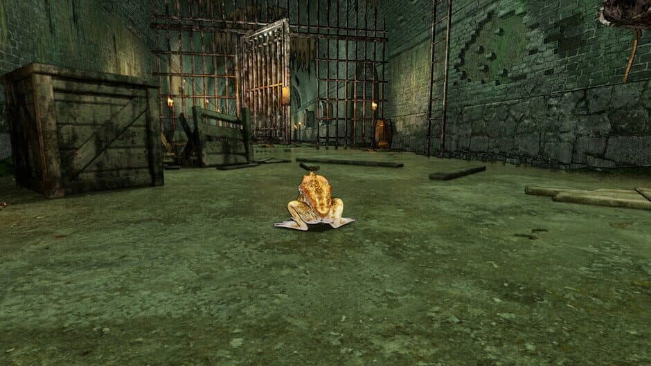 Crazy Toad screenshot 4