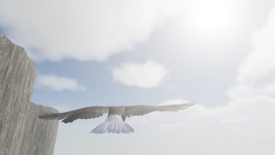 Bird Game 3 screenshot 3