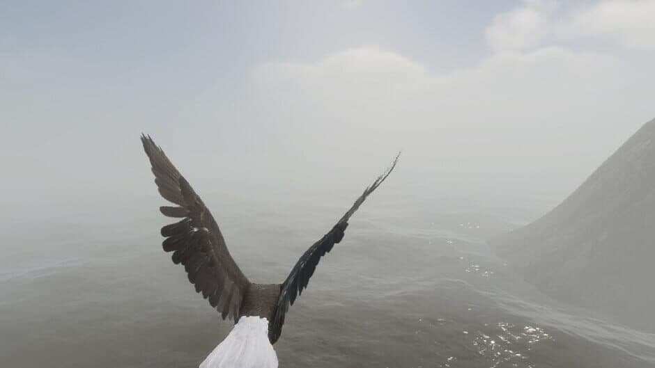 Bird Game 3 screenshot 1
