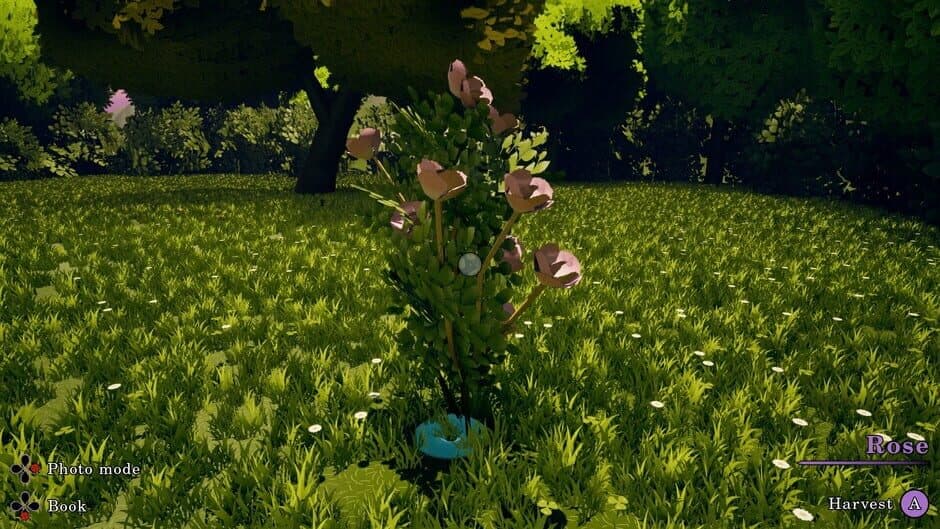 Flowerbloom Cottage screenshot 4