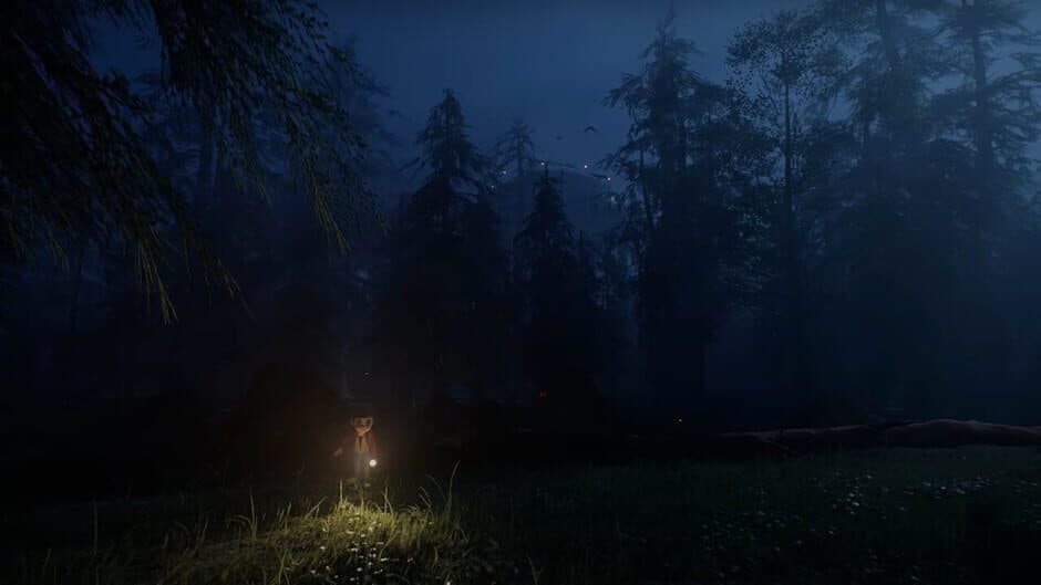 The Last Light screenshot 1