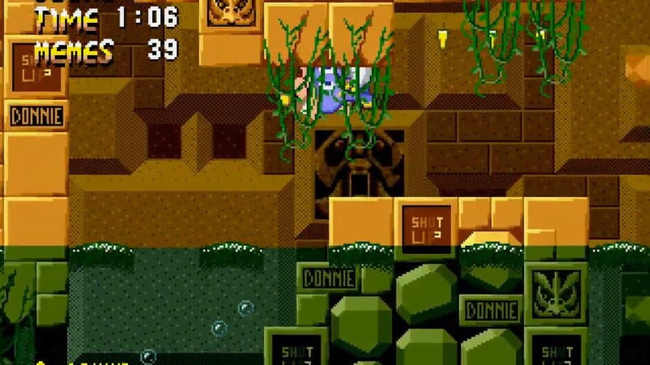 Donnie the Chao Final Mix screenshot 2
