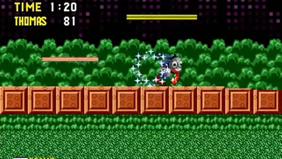 Sonic the Very Useful Engine screenshot 2
