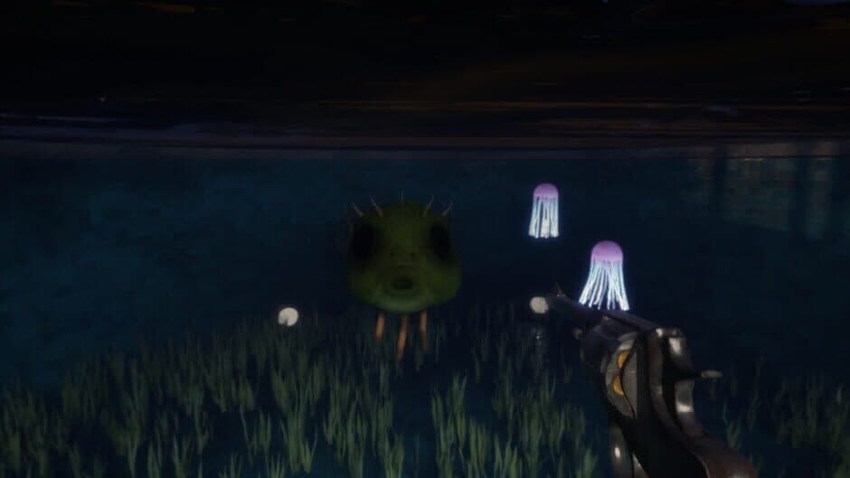 Fish Eyes screenshot 3