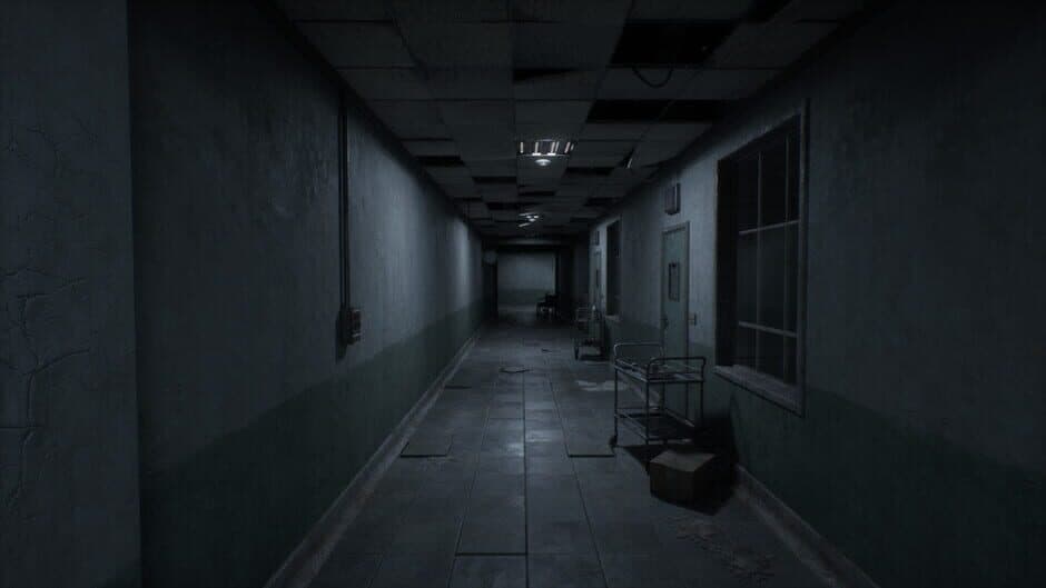 Asylum 45 screenshot 1