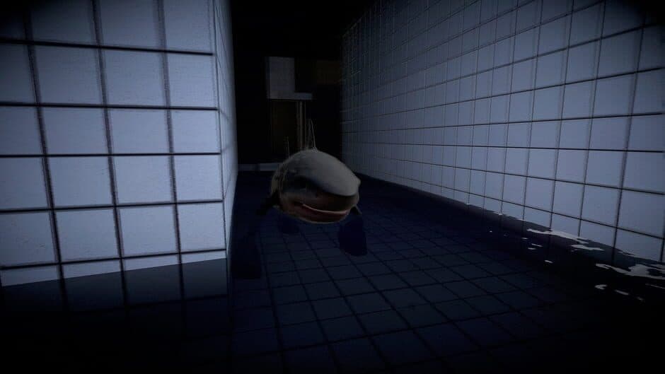 Brainrot & Tung Collection 5 in 1 screenshot 1