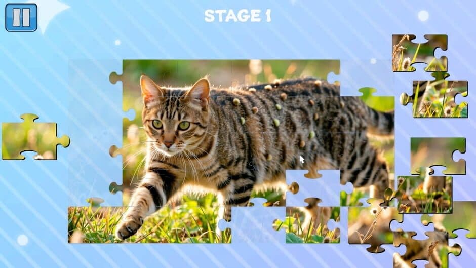 Funny Cats Puzzle screenshot 2