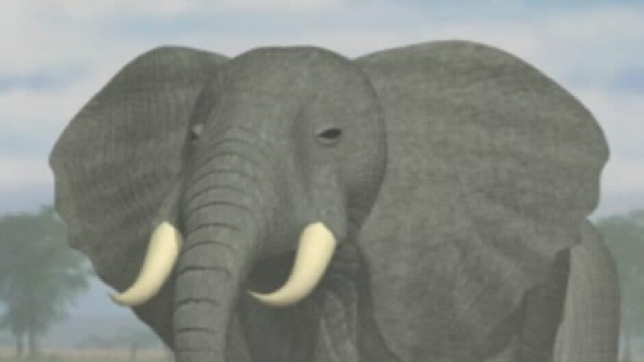 Simulation Zoo screenshot 1