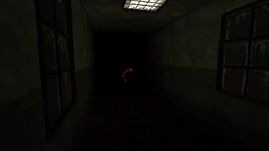 Shadows of Delusion screenshot 4