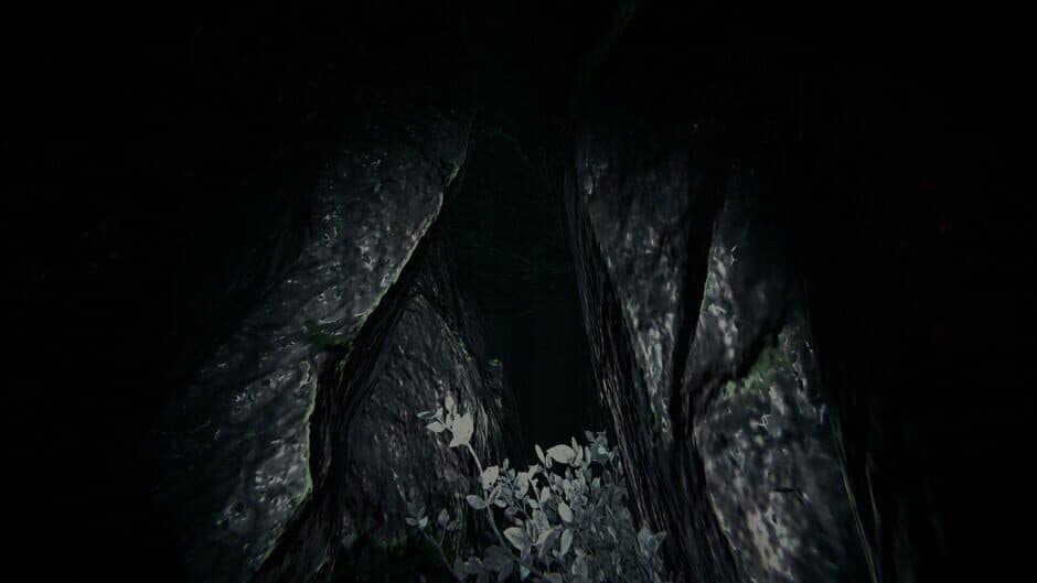 Shroud of the Woods screenshot 3