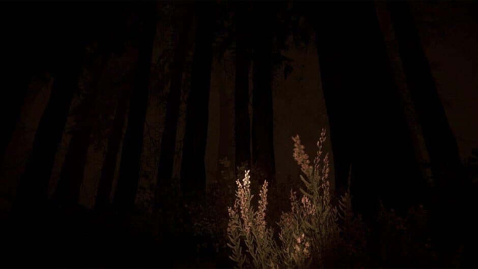Shroud of the Woods screenshot 4