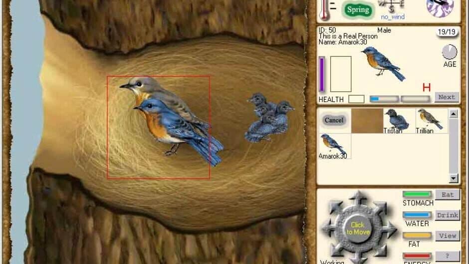 Web Earth Online screenshot 3