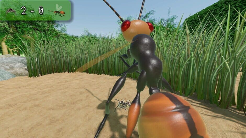 A little Jumpingspider's Garden Adventure (Day 1+2) screenshot 4