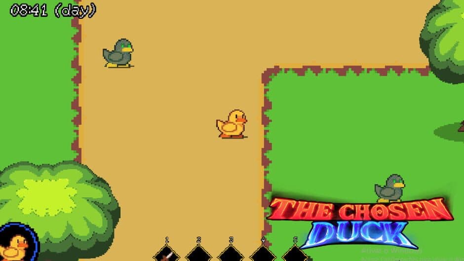 The Chosen Duck screenshot 1