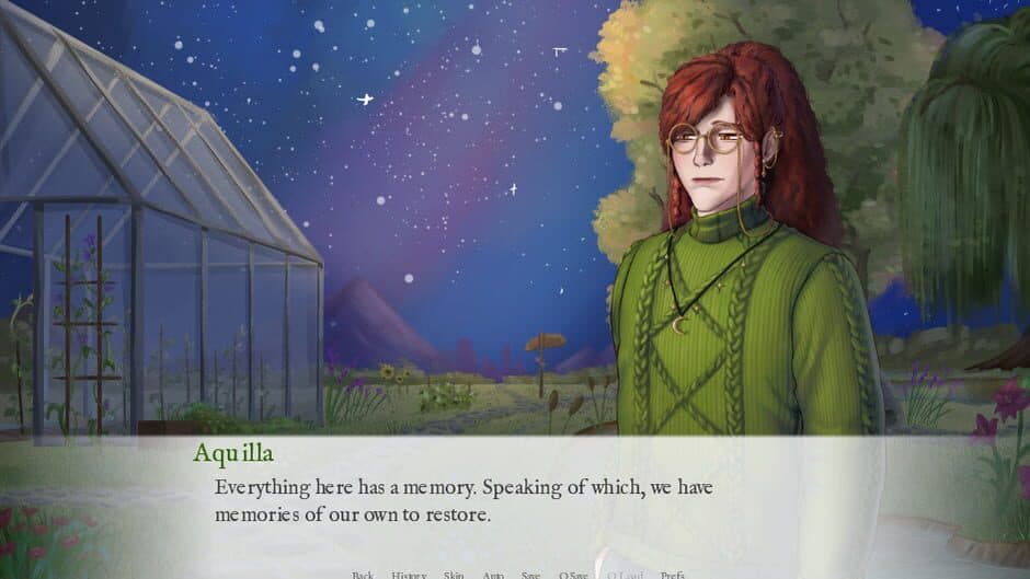 Cats & Carnations screenshot 3