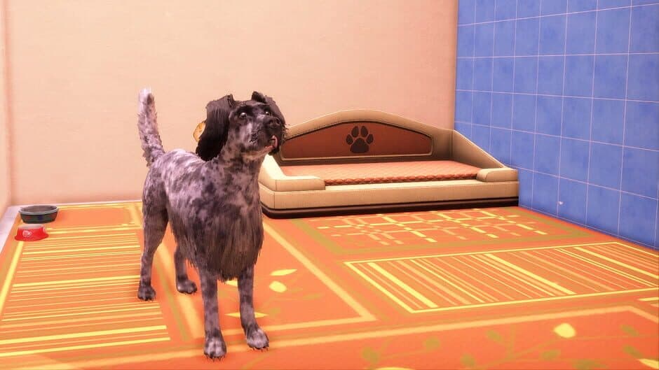 Animal Shelter 2: Hunting Dogs Pack screenshot 1