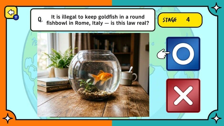 Surprising Laws Around the World True or False Quiz screenshot 4