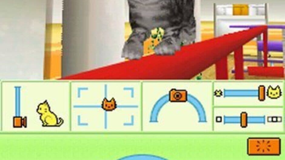 Petz: Catz Playground screenshot 1
