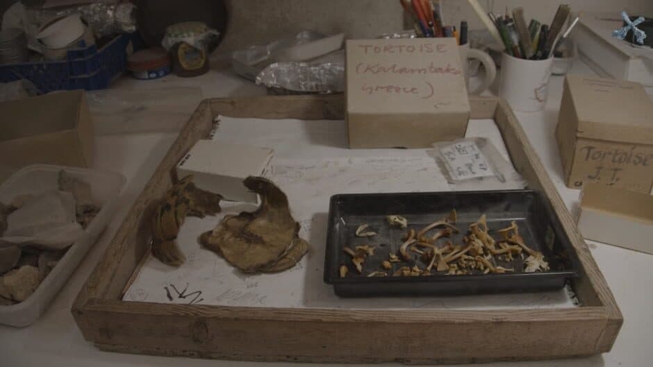 Rebekka's Bag O'Bones screenshot 3