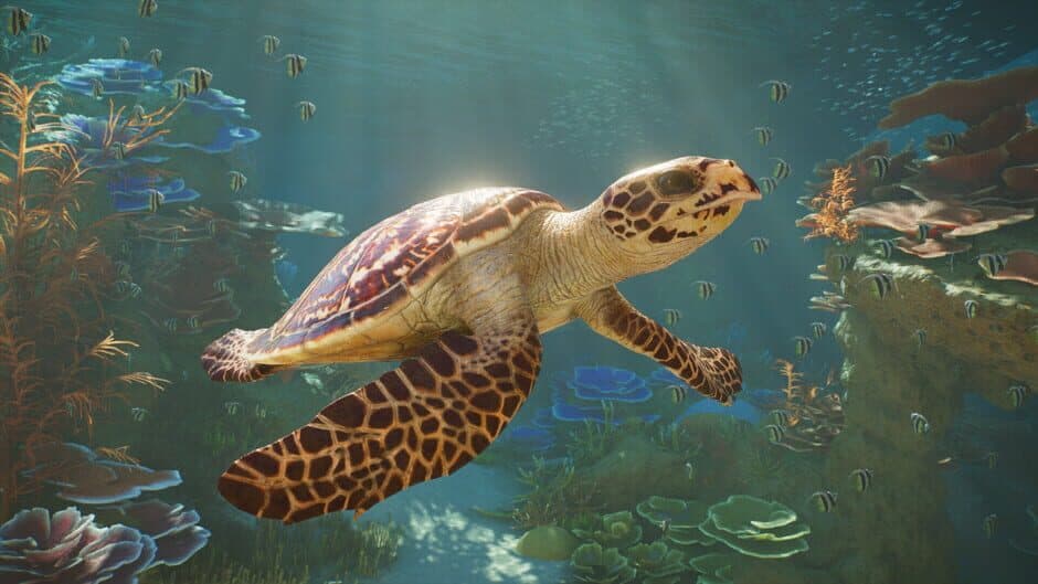 Planet Zoo 2 screenshot 3