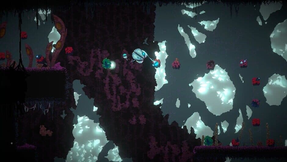 Seed screenshot 2