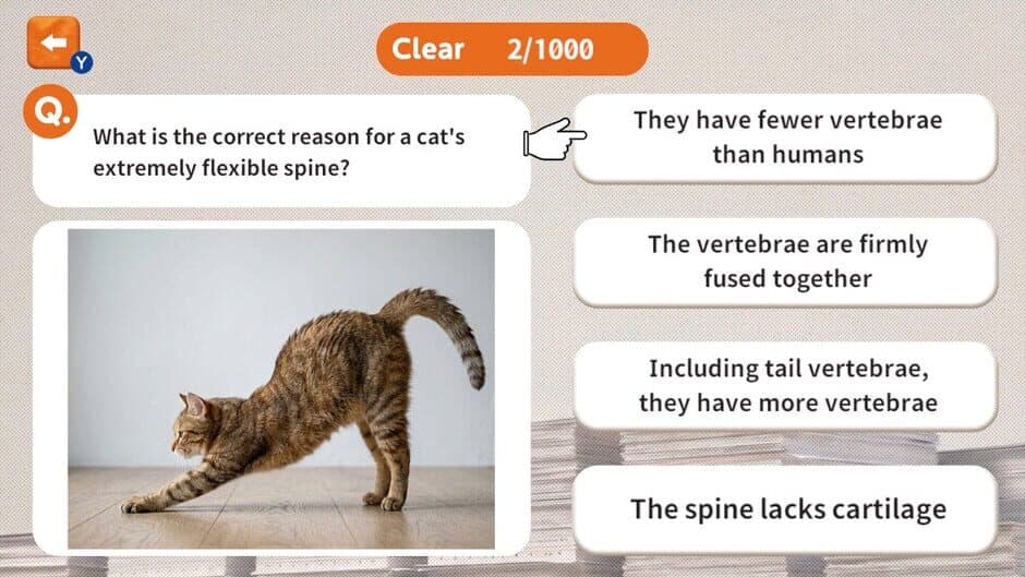 1000 Questions to Be Chosen by the Cat Lord screenshot 2