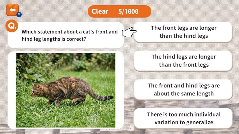 1000 Questions to Be Chosen by the Cat Lord screenshot 4