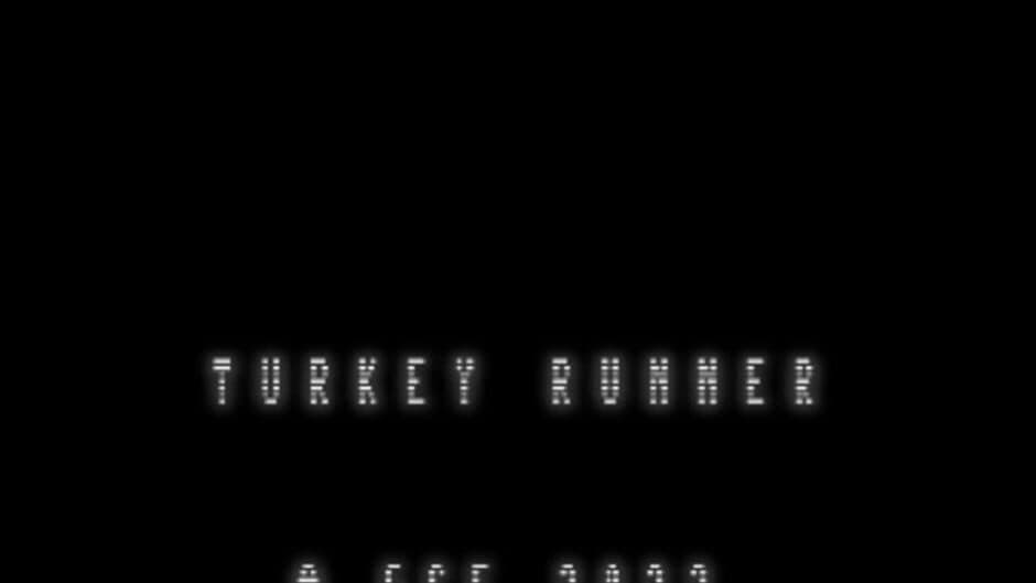Turkey Runner screenshot 2