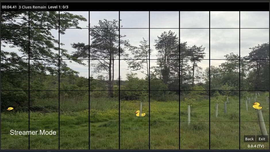 Finding Ducks screenshot 2