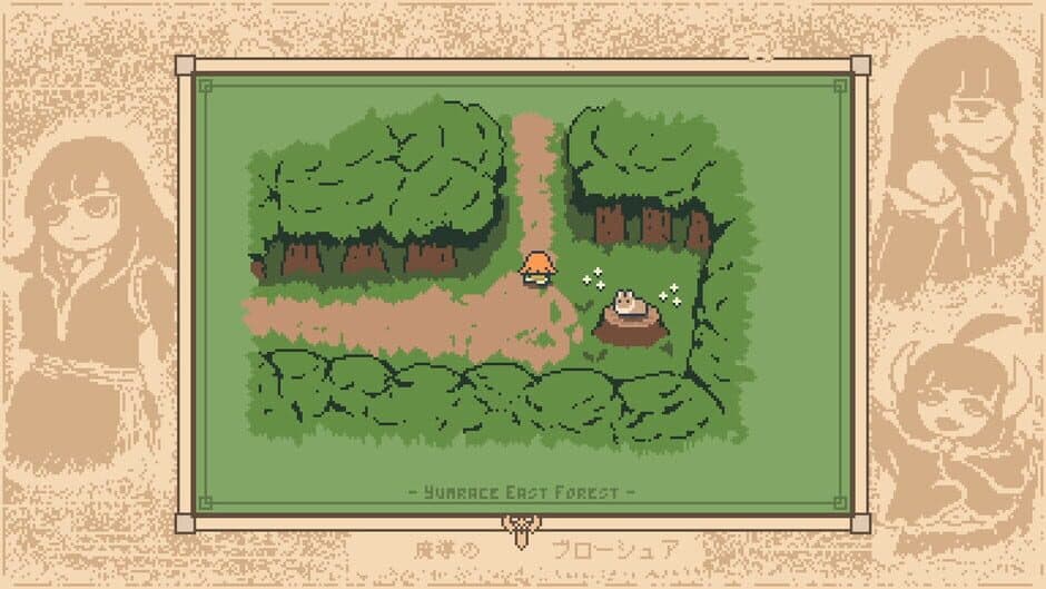 Wiz Brochure screenshot 3
