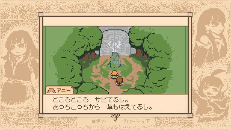 Wiz Brochure screenshot 4