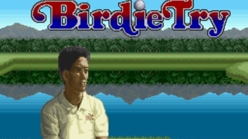 Serizawa Nobuo no Birdie Try screenshot 1
