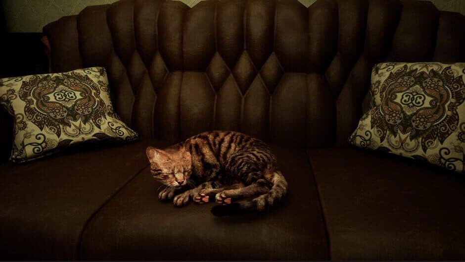 Meowmories screenshot 1