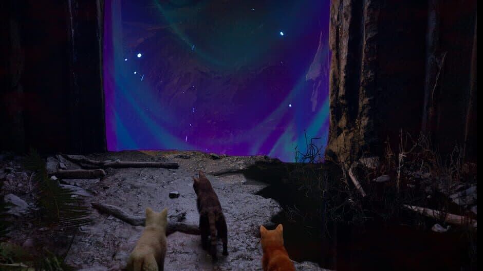 Meowmories screenshot 3