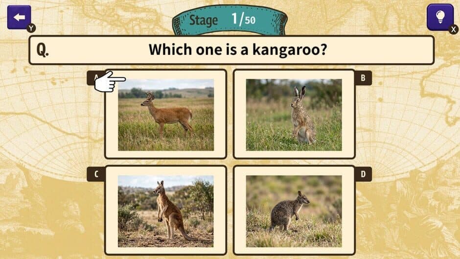 Can You Make the Cut? Worldwide Common Sense Check screenshot 1