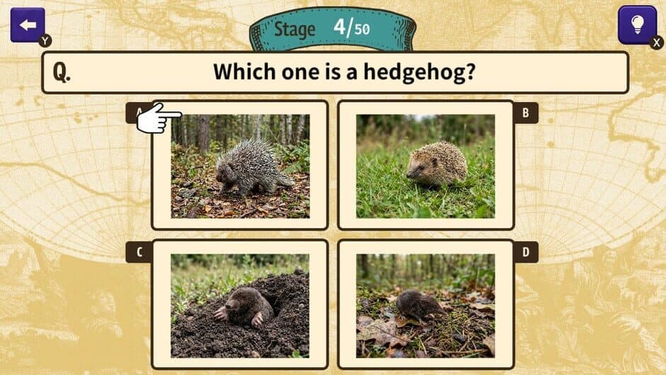 Can You Make the Cut? Worldwide Common Sense Check screenshot 4