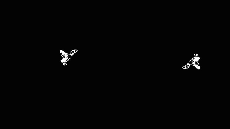Bird-Shot screenshot 3