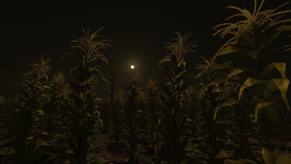Cornfield screenshot 2