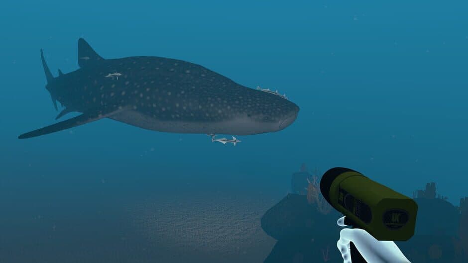 Dive with Sylvia VR screenshot 4