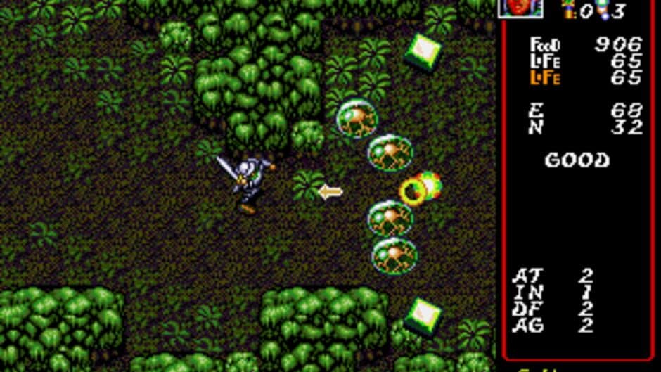 Dungeon Explorer screenshot 3