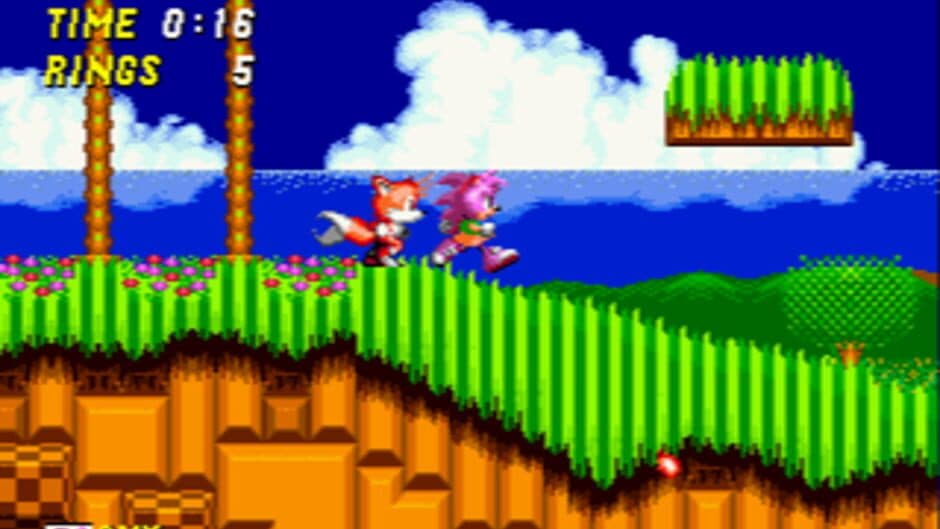 Amy Rose in Sonic the Hedgehog 2 screenshot 3