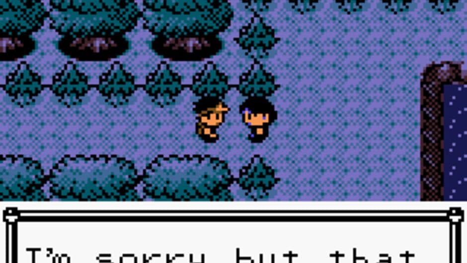 Pokémon Bronze Version 2 screenshot 1