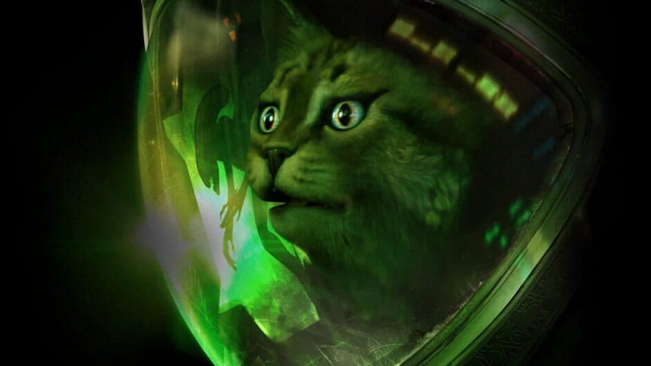 Kitty: Isolation screenshot 1