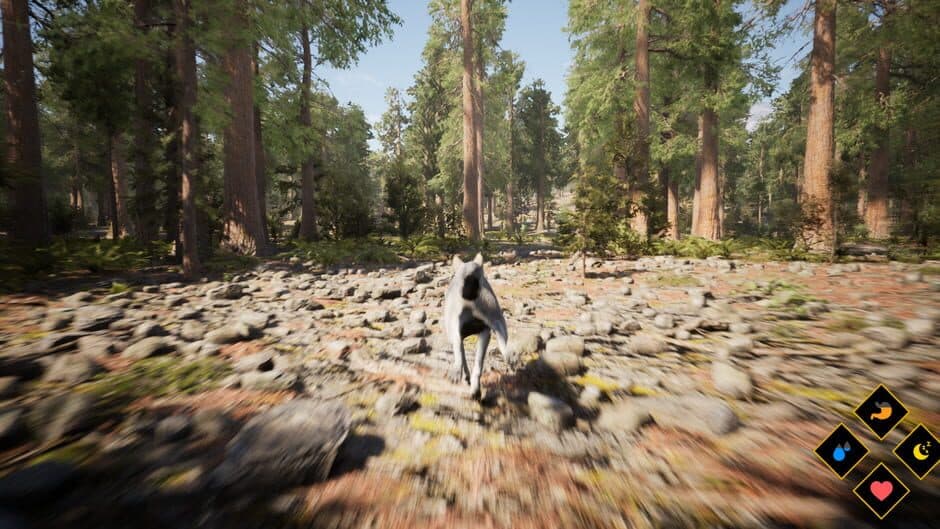 Wilderness screenshot 4